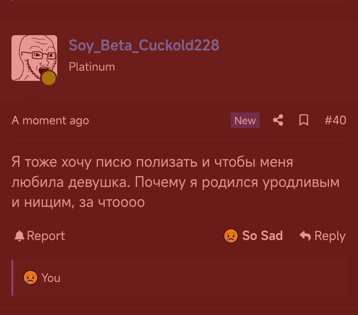 Screenshot 2026 08 14 20 02 53 931 comyandexbrowser edit