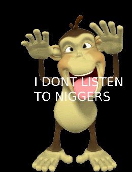 IMG 3873