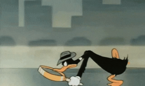 Duffy duck investigating