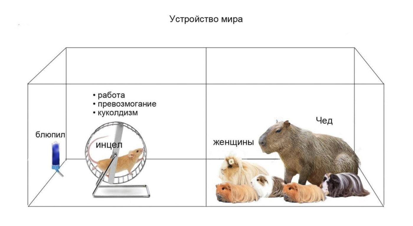 16267