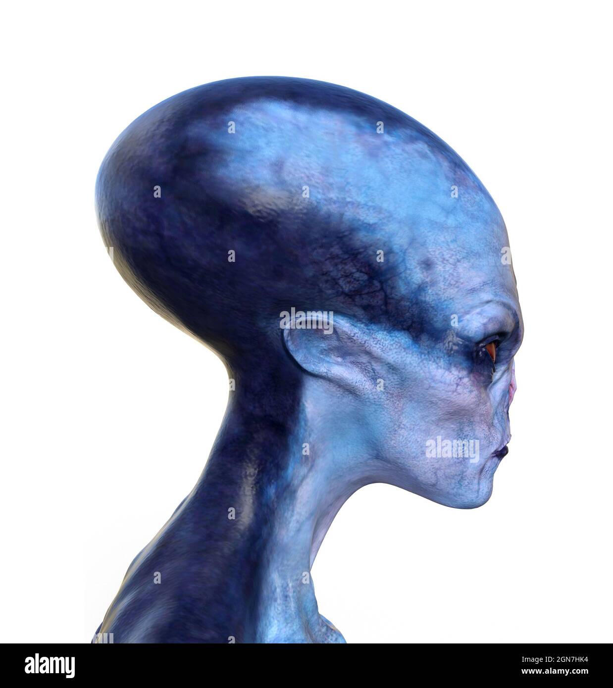 3d illustration profile of the head and neck of a blue alien on a white background 2GN7HK4