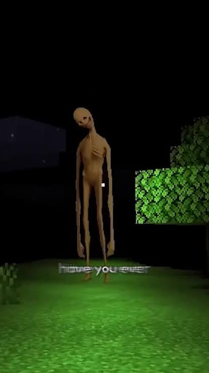 1787163121585