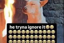 1787163323002