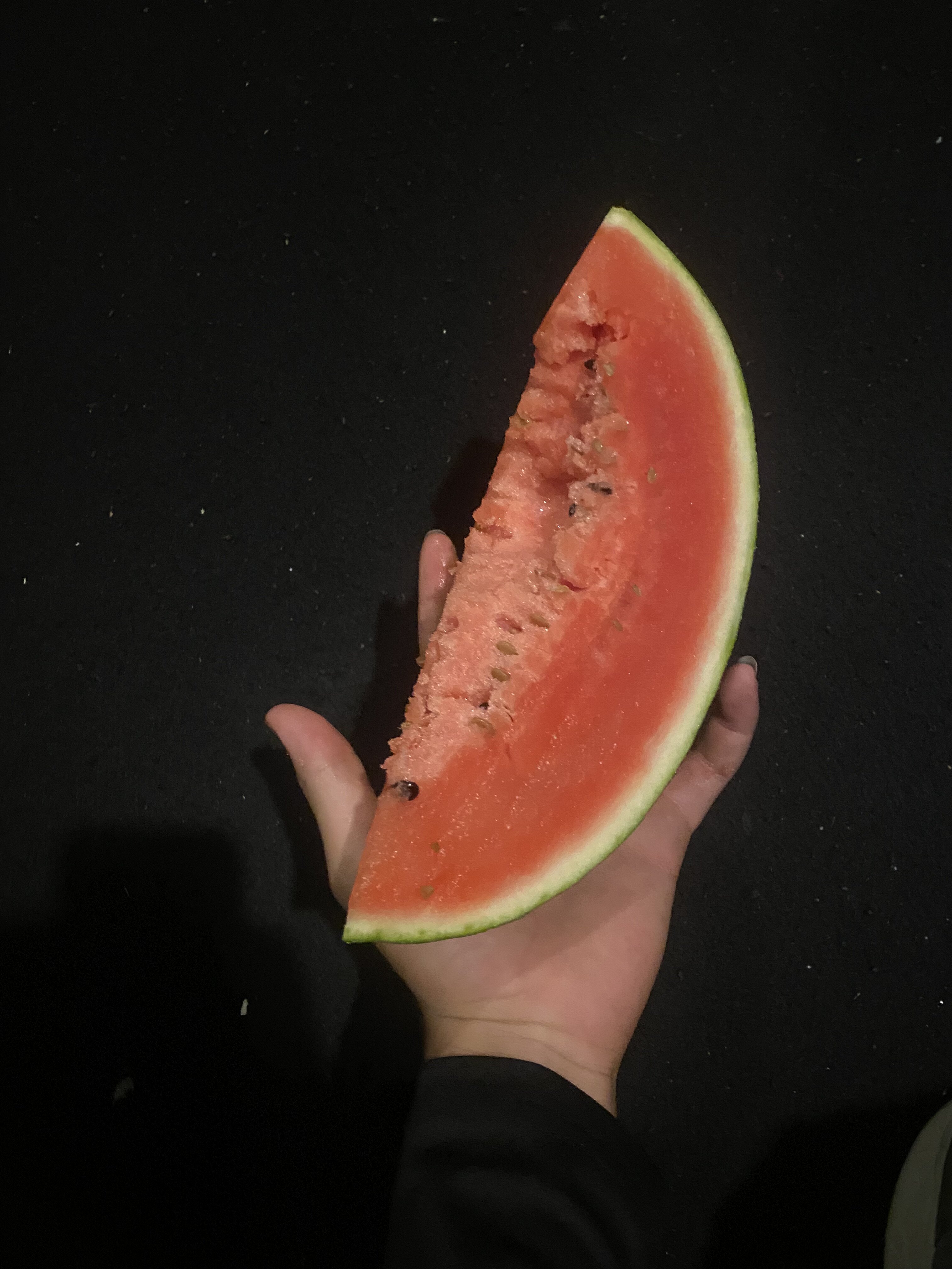 IMG 0528