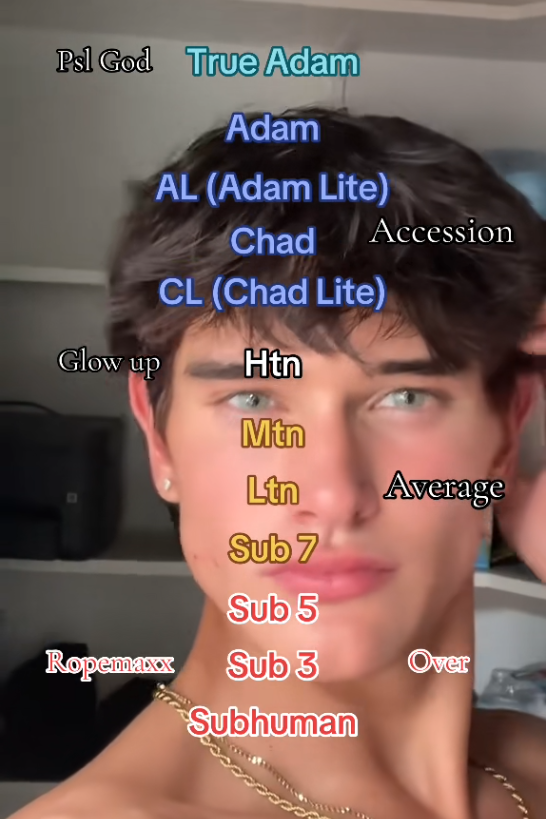 1787213689812