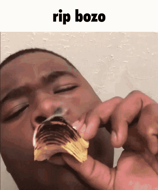 Rip bozo ripus bozus