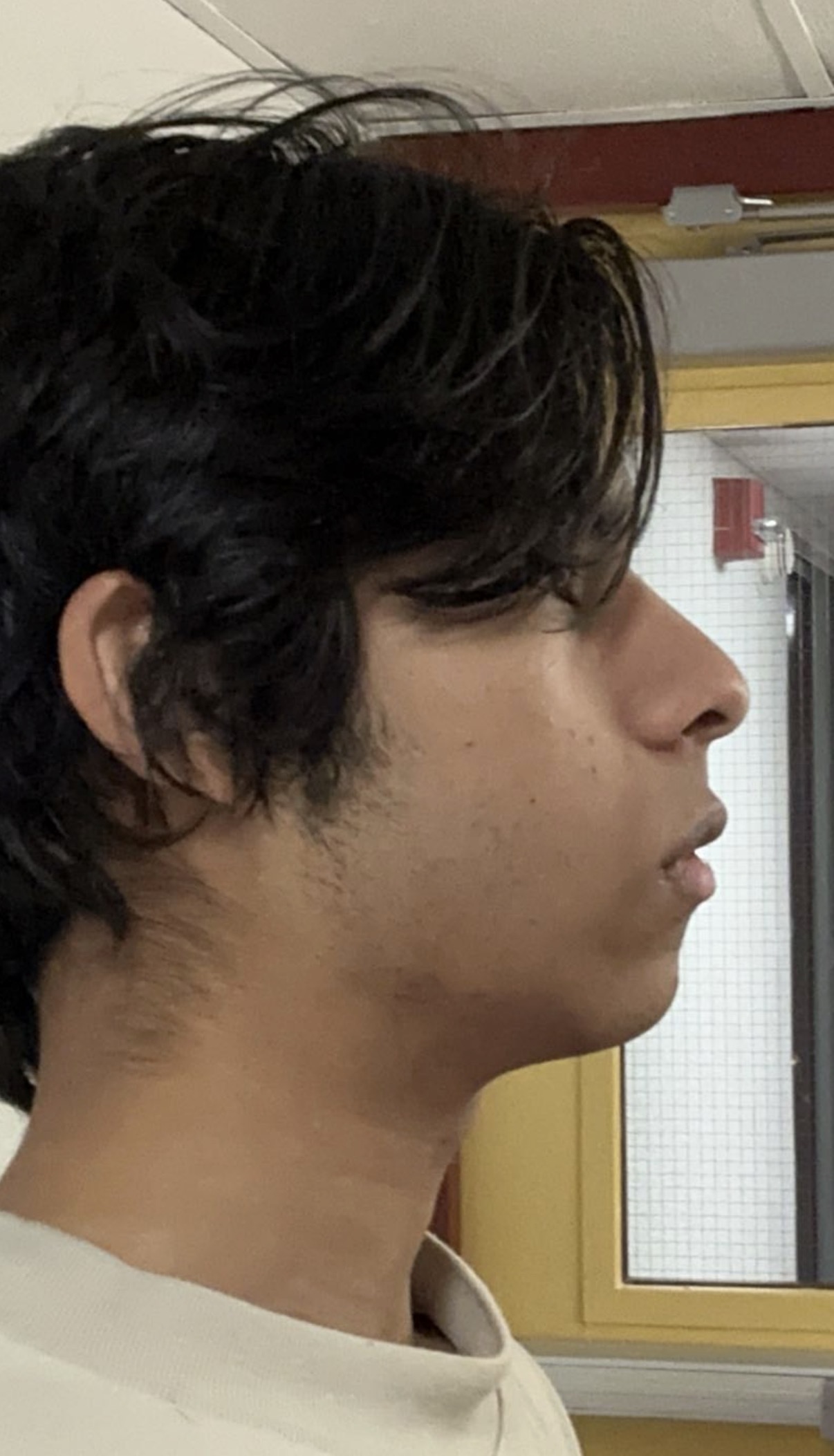 IMG 2971