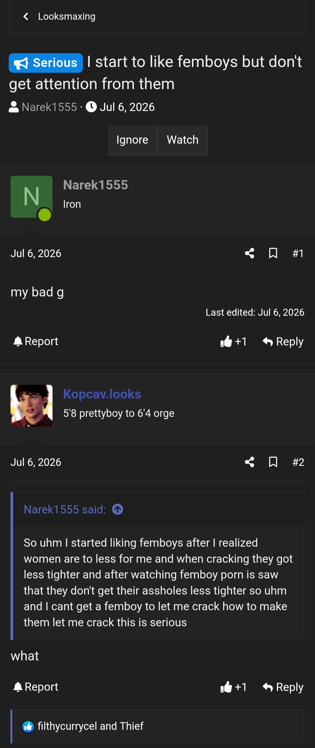 15621