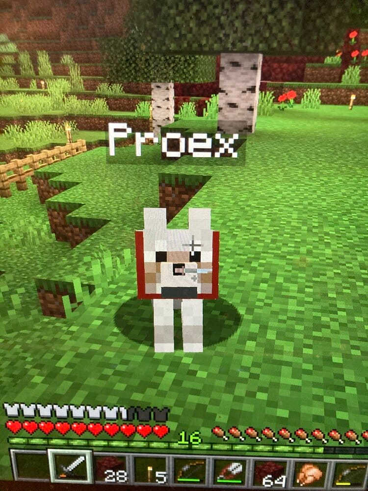 Xz0v0k0