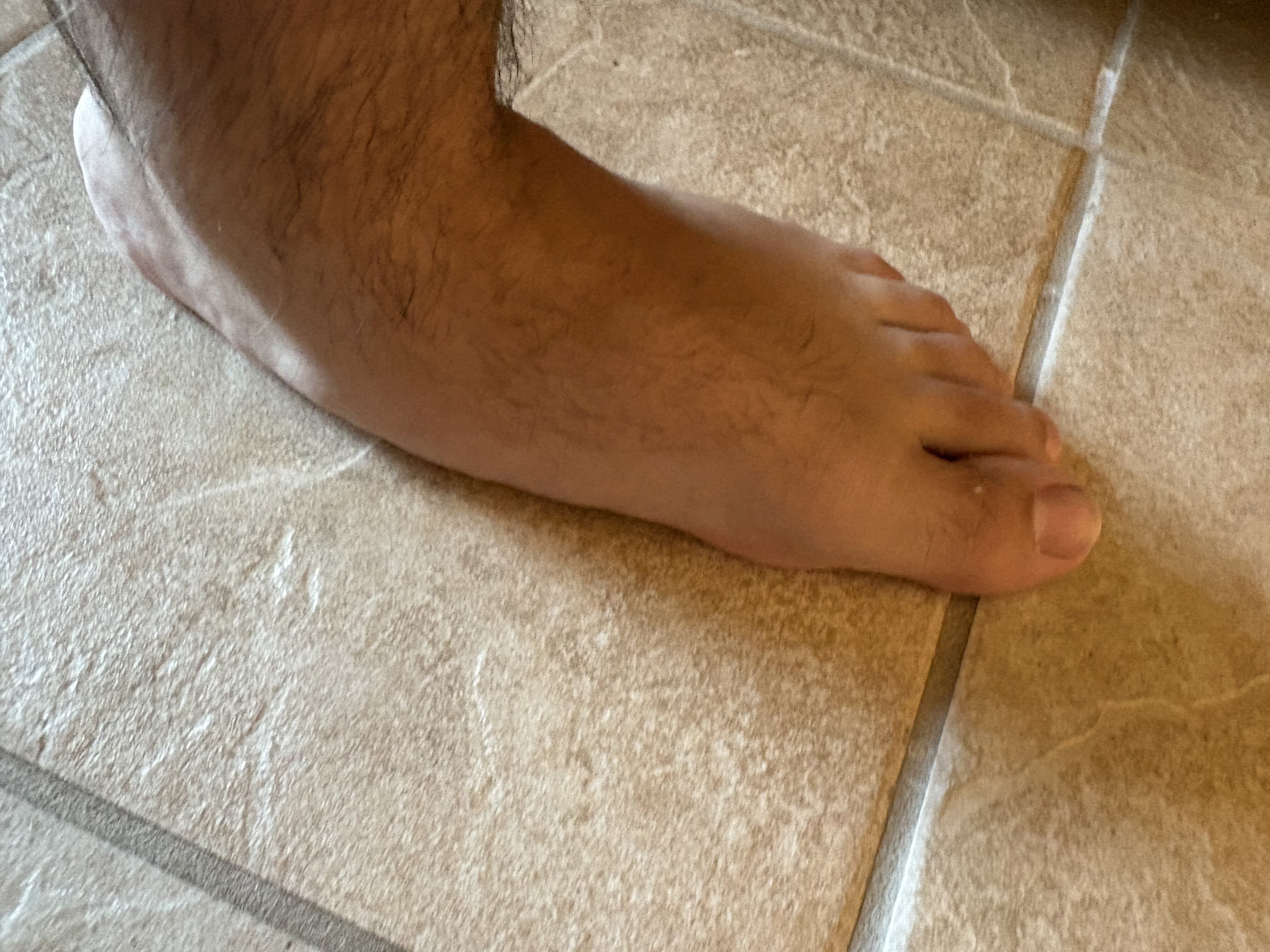 IMG 3594