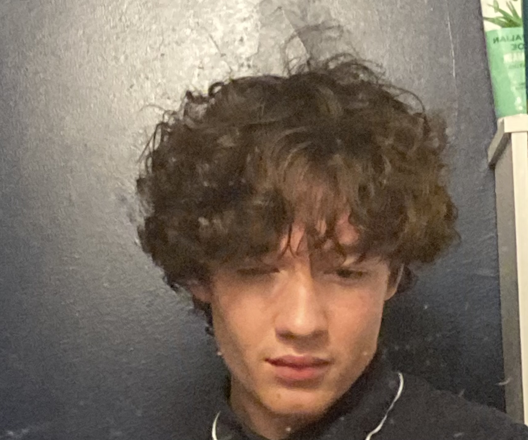 IMG 1426