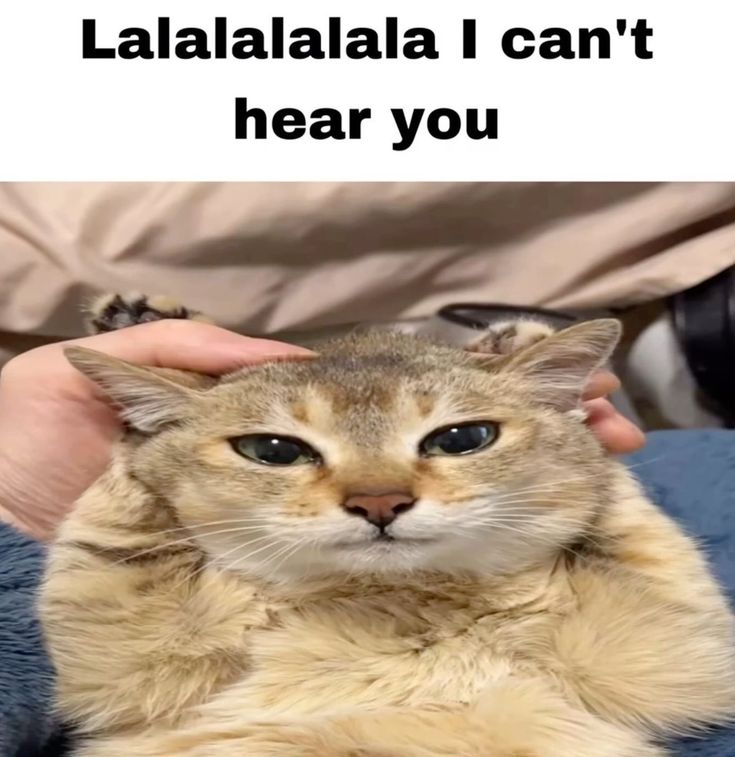 1000021685