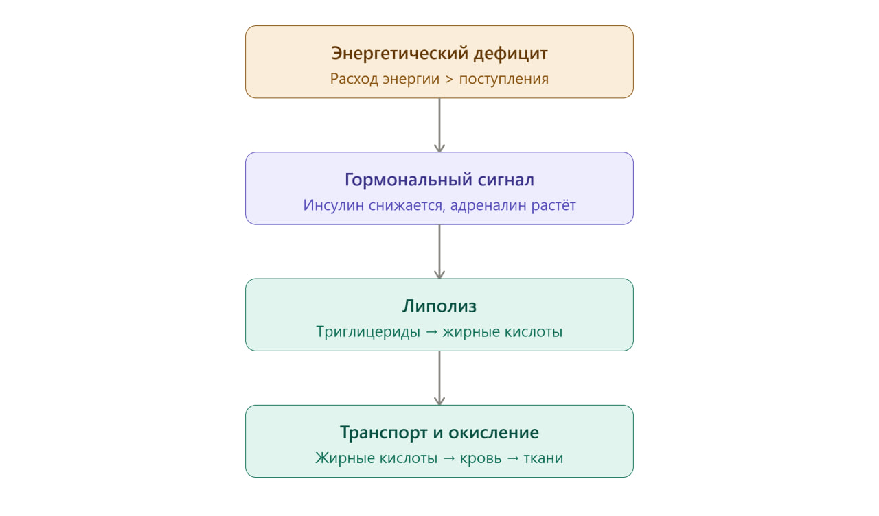 1787329398503