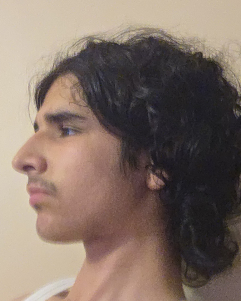 IMG 2194