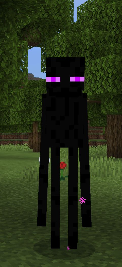 004968023fdeb140ea3d4e601e1a7855