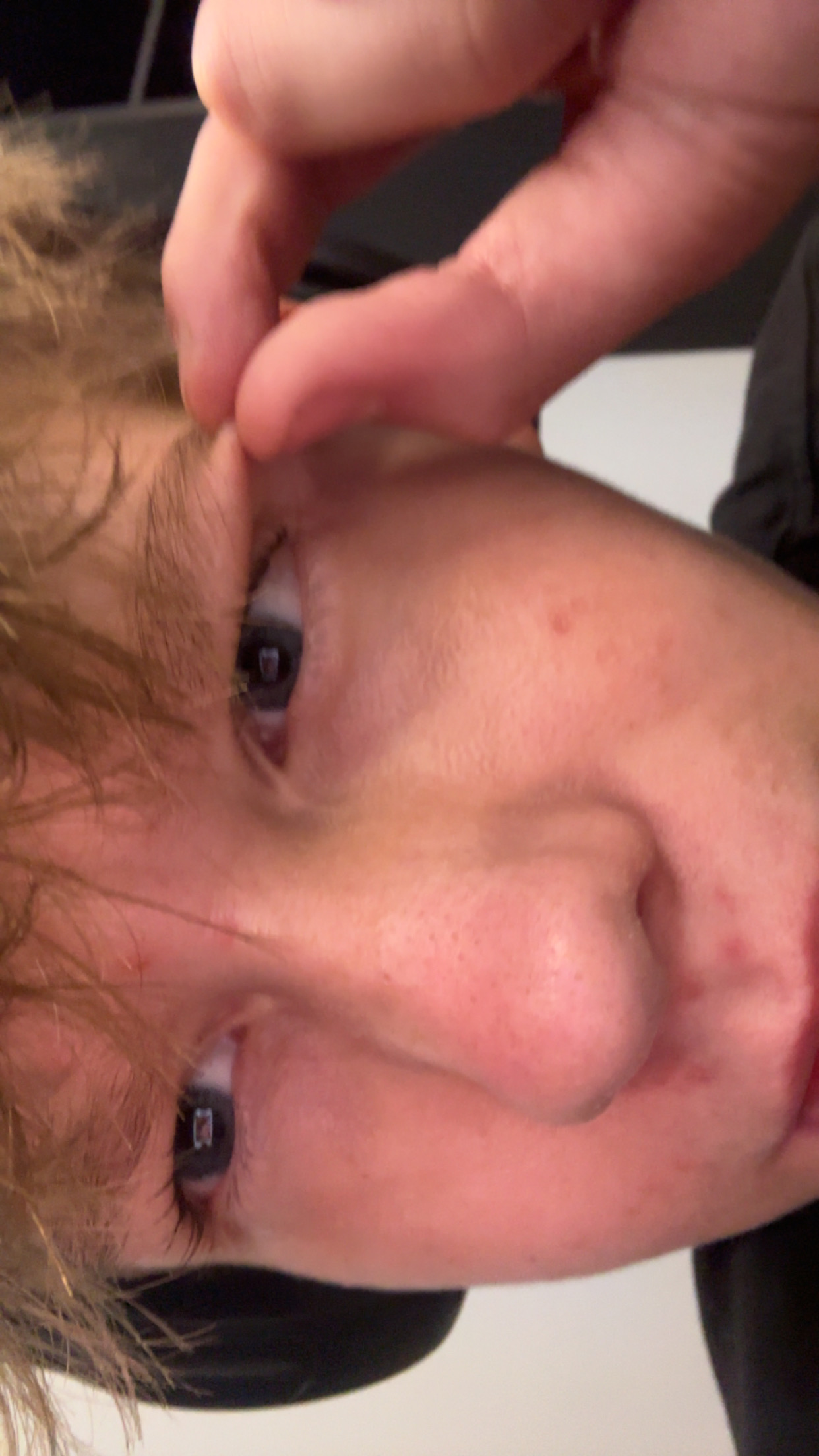 IMG 4671