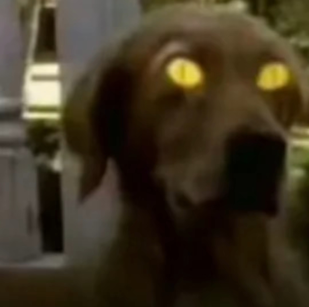 Screenshot 20260821 022833 TikTok