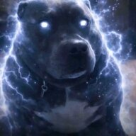 1787398247772