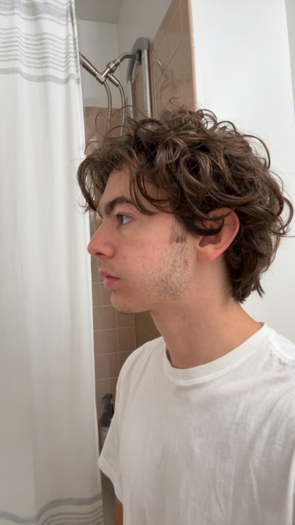 IMG 1547