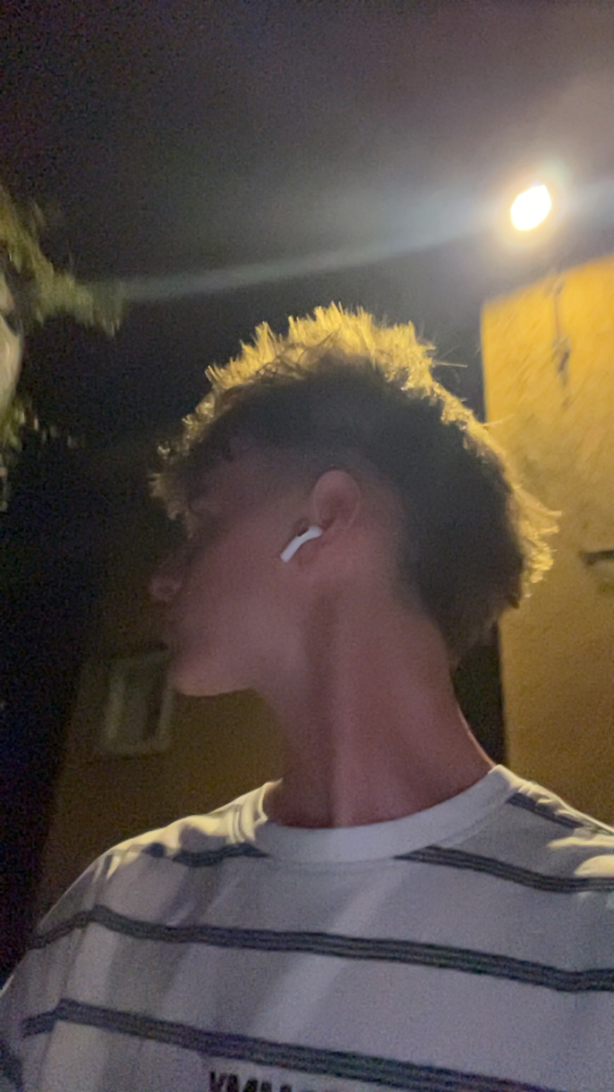 IMG 1509