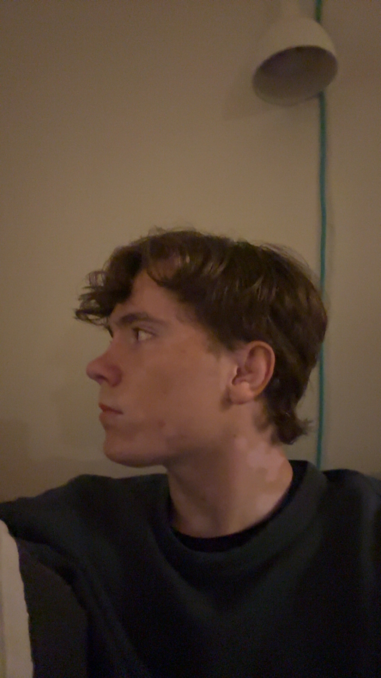 IMG 2308