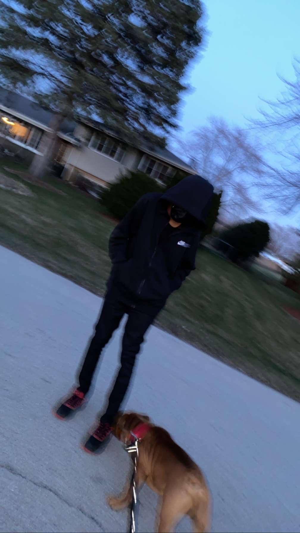IMG 0463