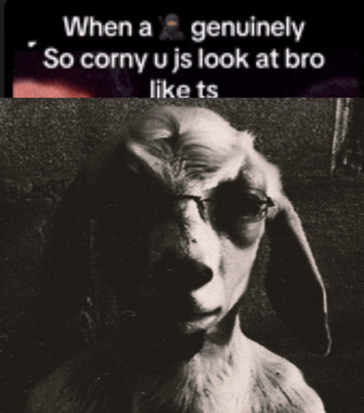 6639204 CA49446B 7033 4FD5 84CE 80EDECB2BC50