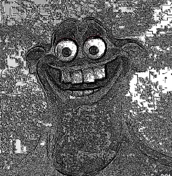 IMG 3446