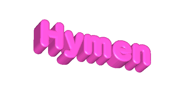 1787501635648