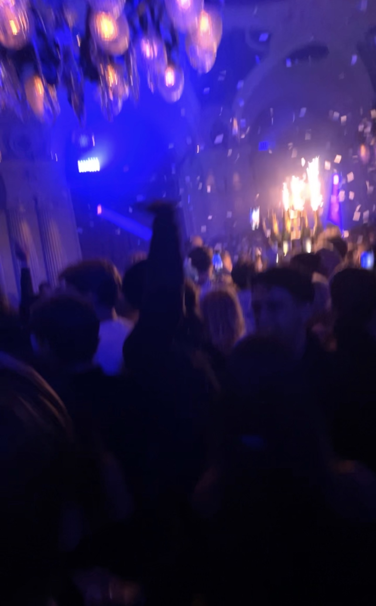 IMG 1447