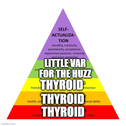 1000039051