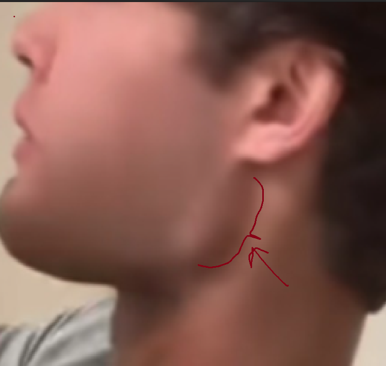 1787529526275