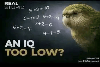 An iq too low
