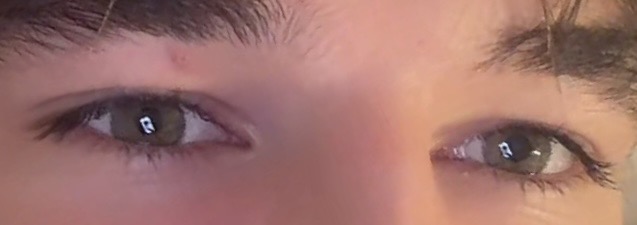 IMG 7350
