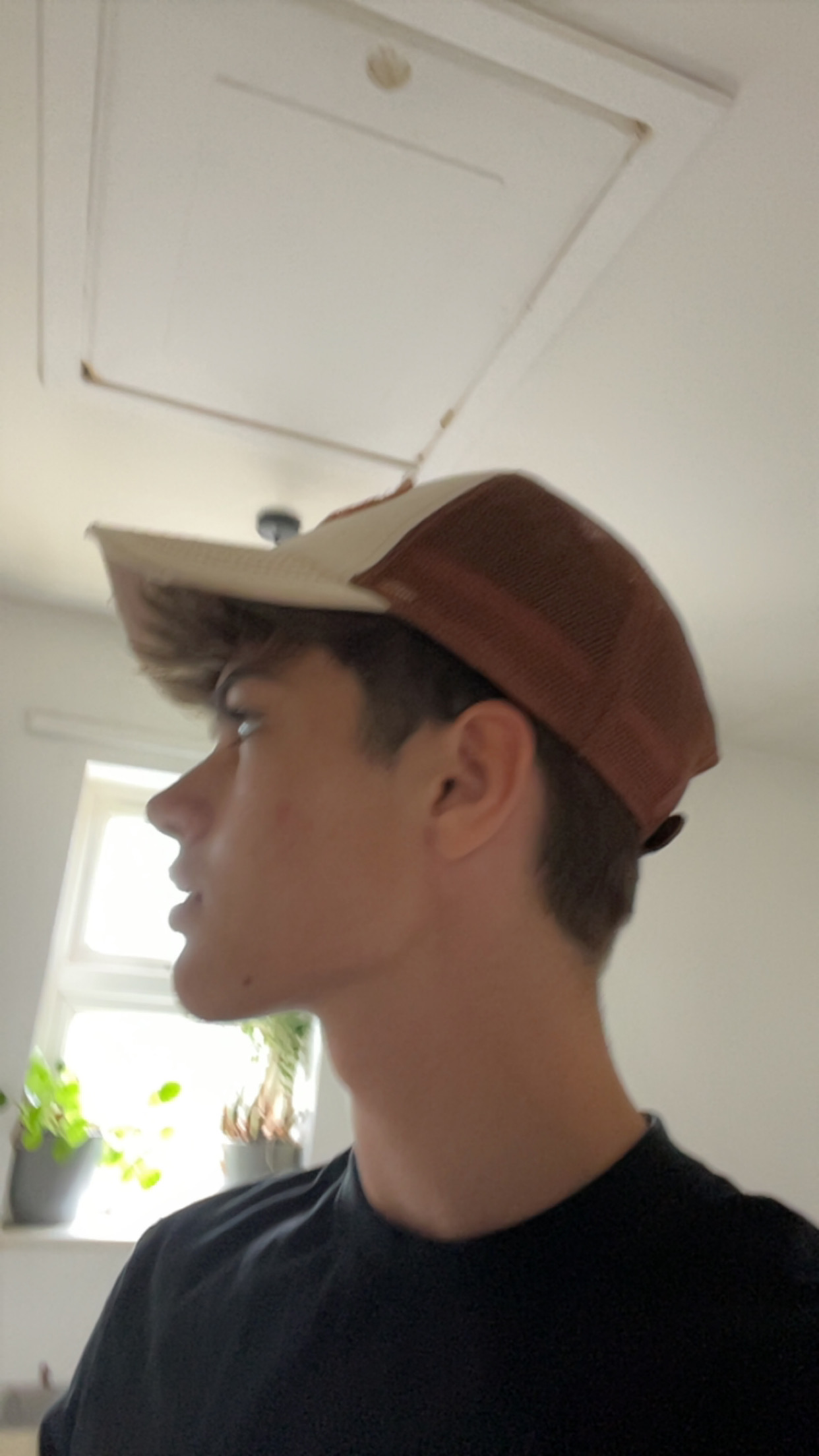 IMG 1238