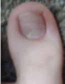 1787628990582