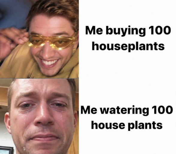 1787650908946
