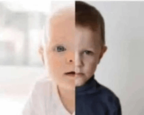 1787653723056