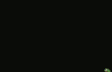 1000067559