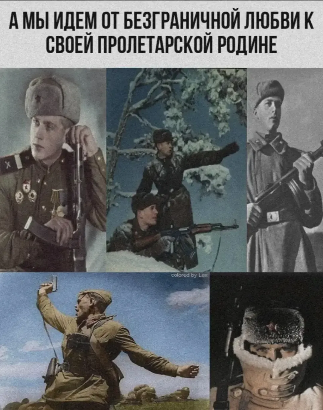 E5056976abd441d322b4cff4ae8ed018