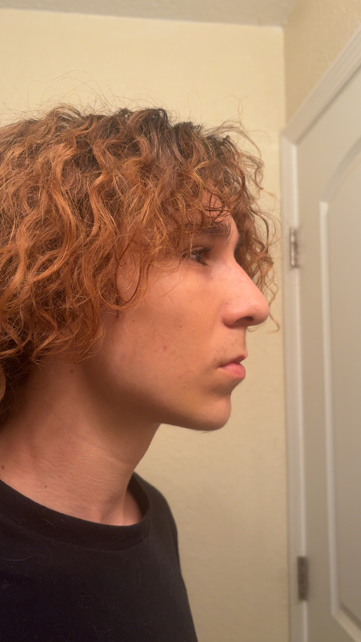 IMG 4653