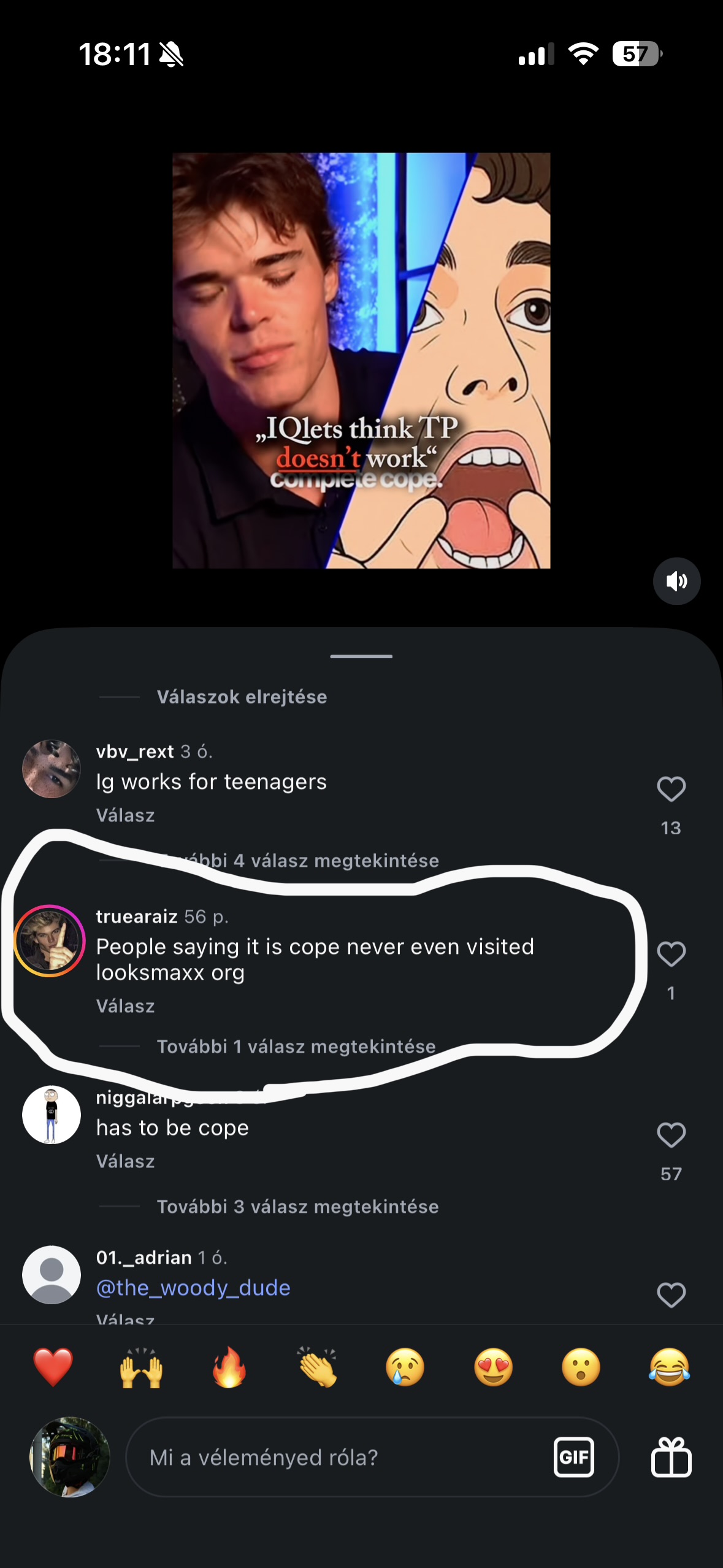 IMG 1158