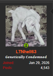 1787775810763