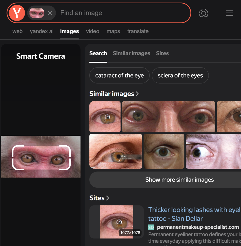 1787793731037