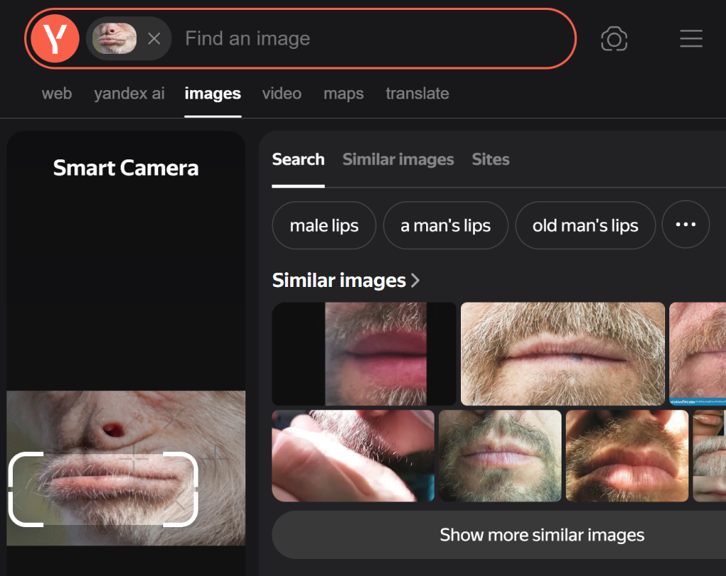 1787793738316