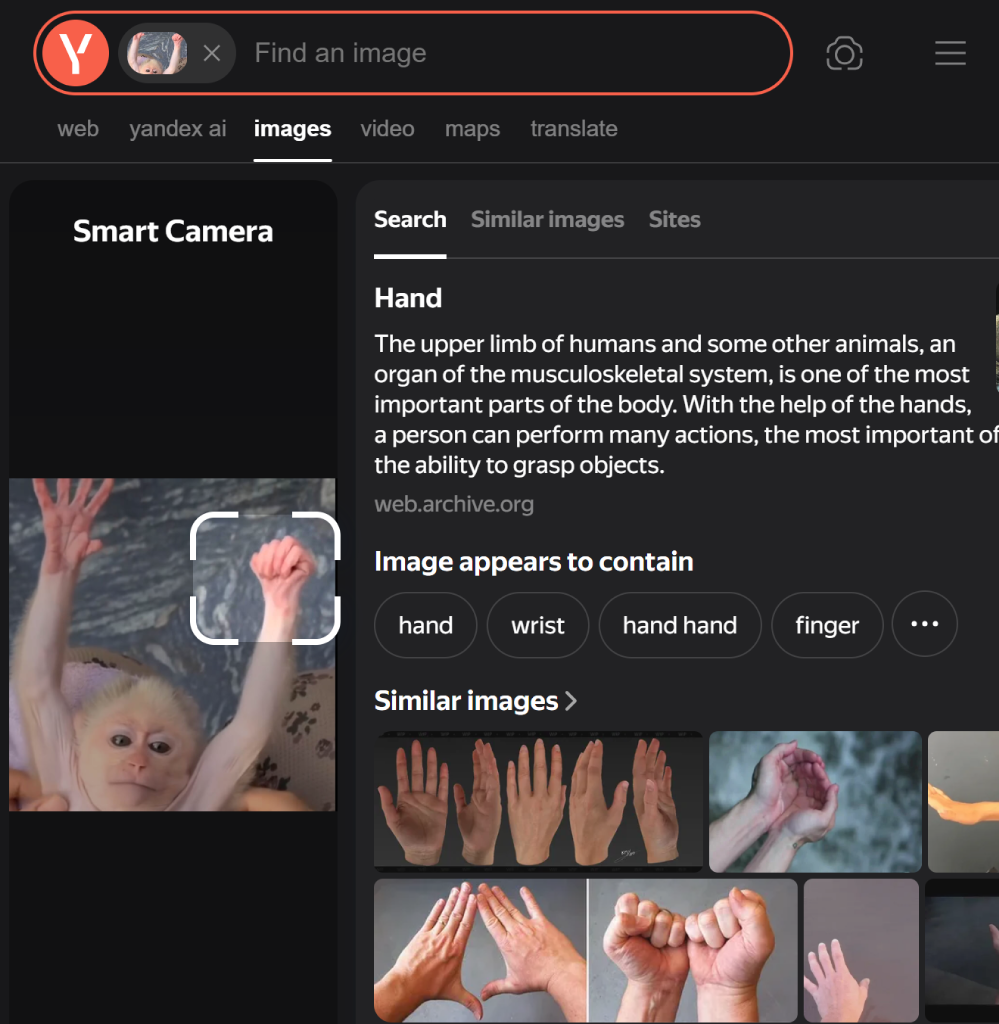 1787793746453