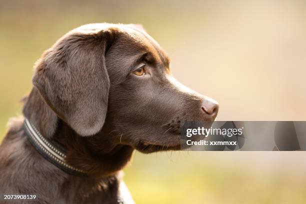 Gettyimages 2073908139 612x612