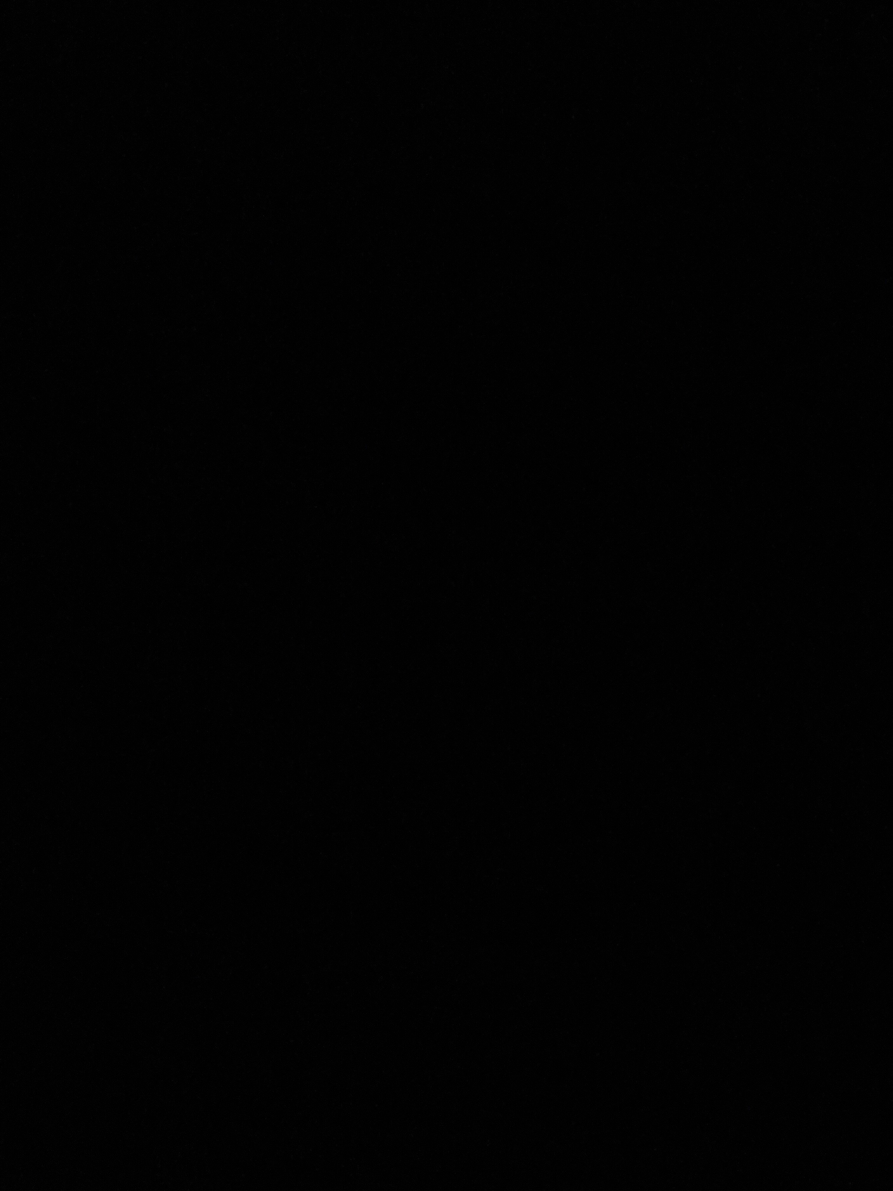 IMG 0015