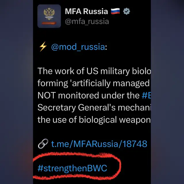 1787872838681
