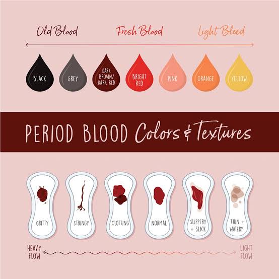 1000081310